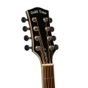Gold Tone Mandocello with Pickup and Hard Case