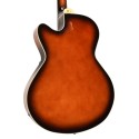 Gold Tone Mandocello with Pickup and Hard Case