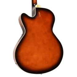 Gold Tone Mandocello with Pickup and Hard Case