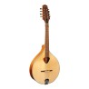 Gold Tone Traditional Irish Mandola with Free Gig Bag