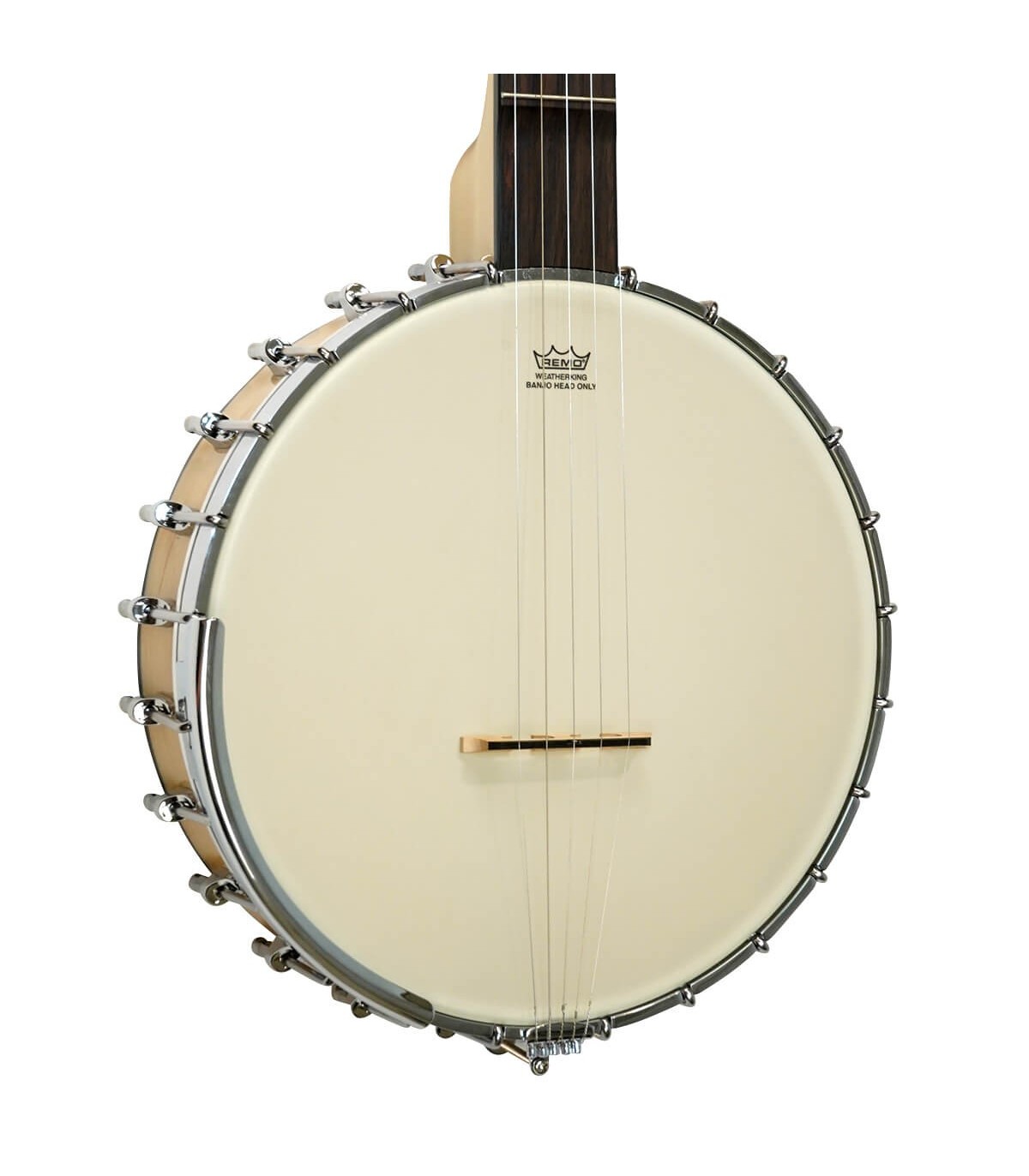 Low Price on Goldtone Maple Mountain at BanjoTeacher.com