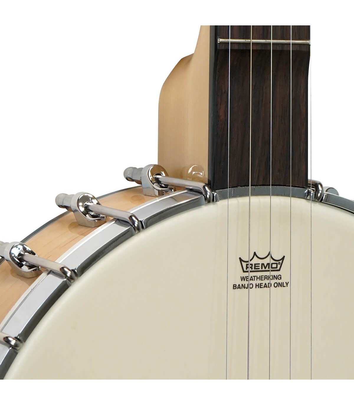 Low Price on Goldtone Maple Mountain at BanjoTeacher.com