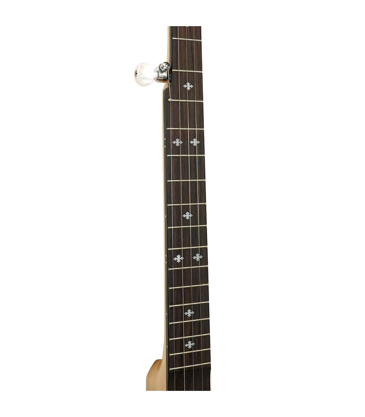 値下げ❕ Gold Tone オープンバックバンジョー MM-150 Low Price on Goldtone Maple Mountain at BanjoTeacher.com