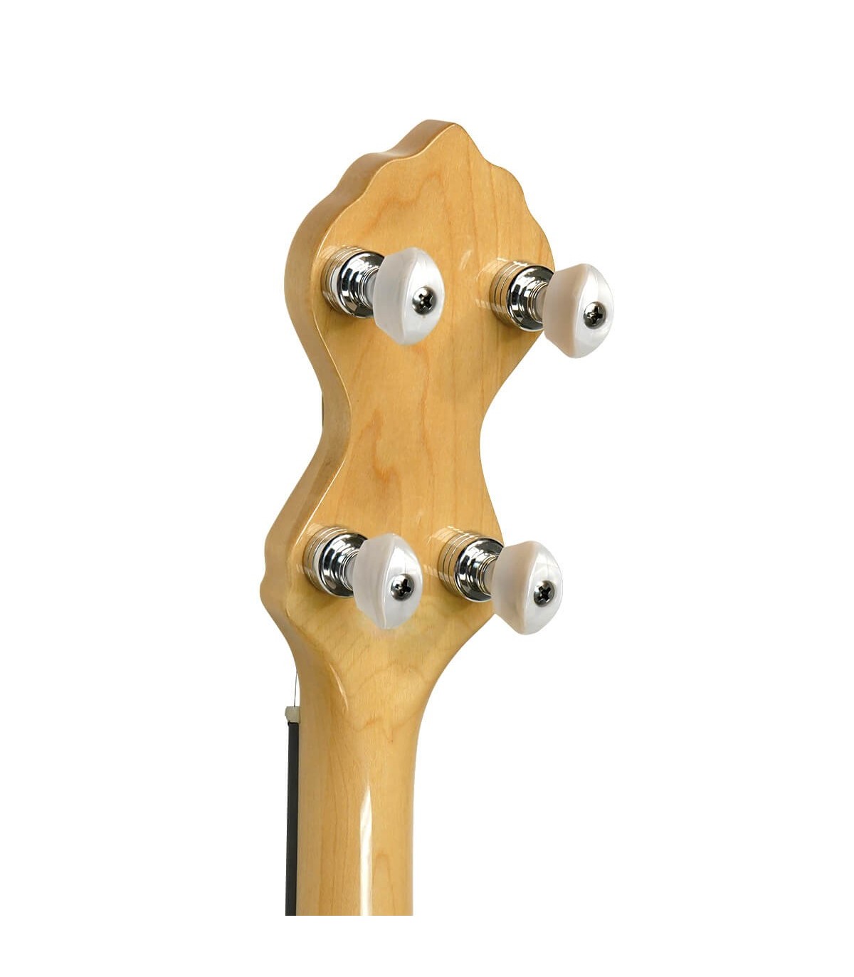 Low Price on Goldtone Maple Mountain at BanjoTeacher.com