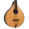 Mandolin - Goldtone - OM-800 - Octave Mandolin