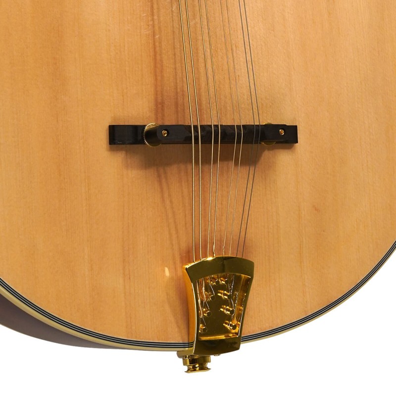 Mandolin - Goldtone - OM-800 - Octave Mandolin