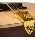 Mandolin - Goldtone - OM-800 - Octave Mandolin