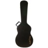 Gold Tone - Resophonic Guitar - Paul Beard PBR RoundNeck