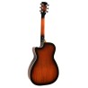 Gold Tone - Resophonic Guitar - Paul Beard PBRCA Mahogany