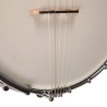 Gold Tone White Lady WL-250 Open Back Banjo