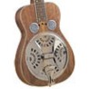 Resophonic Guitar - Regal - American Walnut