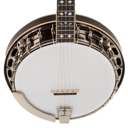 Recording King Songster RK-R20 - New Improved Design and Quality