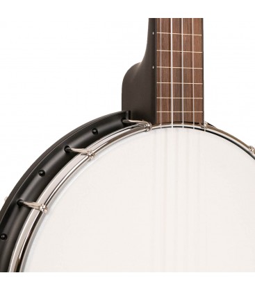 Gold Tone AC-1F Fretless Banjo