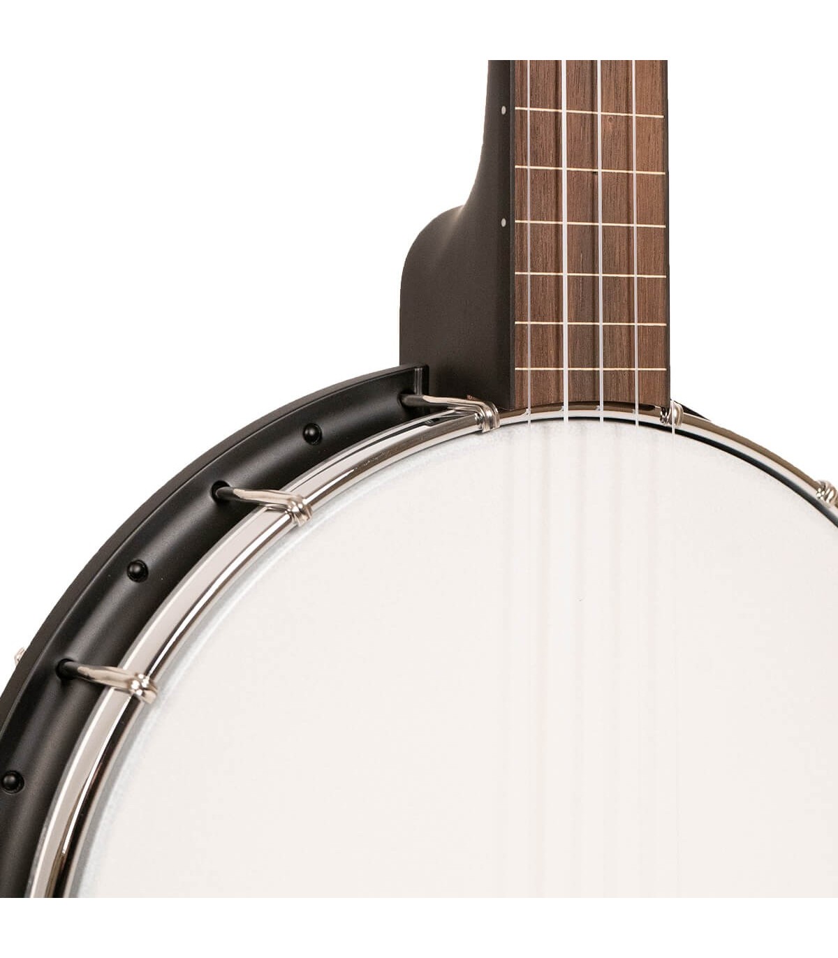 Gold Tone AC-1FL Fretless Banjo | 5-string Open Back | Best Deal