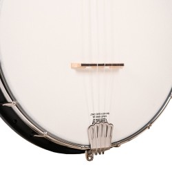 Gold Tone AC-1F Fretless Banjo