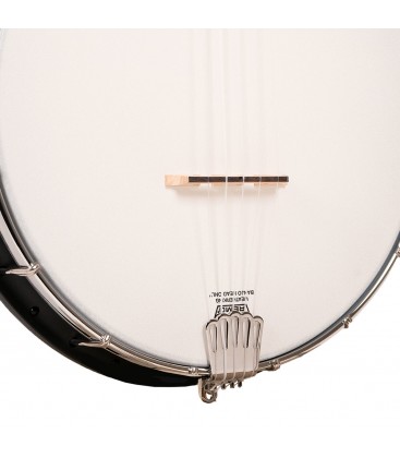 Gold Tone AC-1F Fretless Banjo