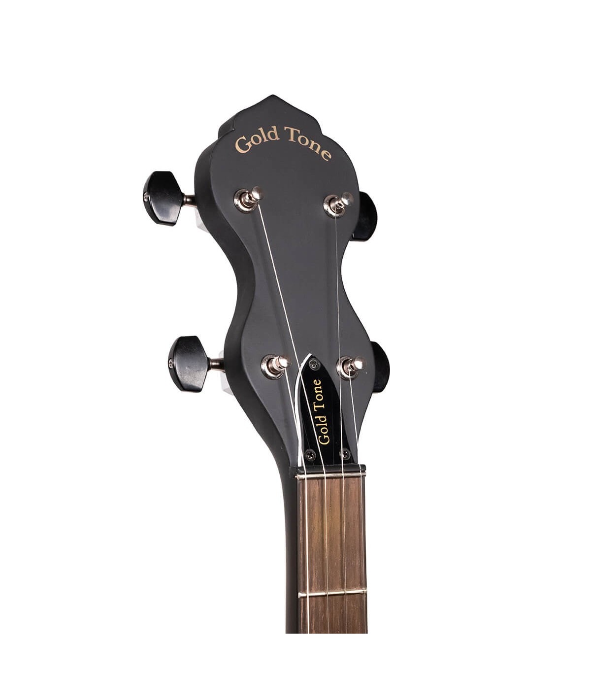 Gold Tone AC-1LN | Long Neck Banjo | Unbeatable Quality and