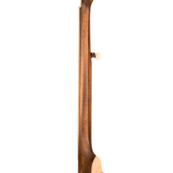 Gold Tone HM-100: High Moon Old Time Banjo 12” rim and custom design