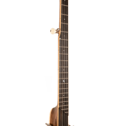 Gold Tone HM-100: High Moon Old Time Banjo 12” rim and custom design