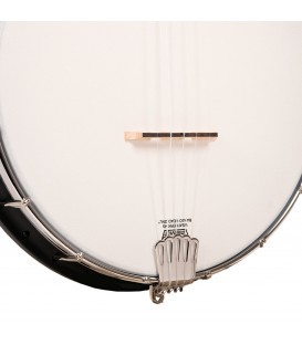 Gold Tone AC-1F Fretless Banjo With Fret Markers