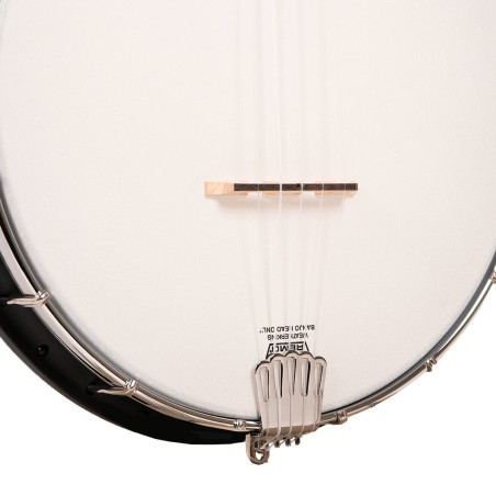 Gold Tone AC-1FL Fretless Banjo With Fret Markers