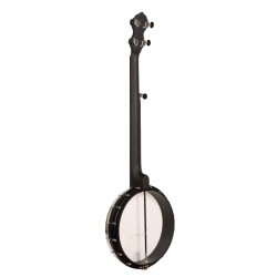 Gold Tone AC-1F Fretless Banjo With Fret Markers