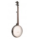 Gold Tone AC-12 Banjo With 12 Inch Rim and Scooped Neck