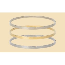 Engraved Banjo Tension Hoops