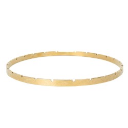 Engraved Banjo Tension Hoops