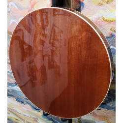 Morgan Monroe Rocky Top  RT-B18 Beginner Bluegrass Banjo with Resonator and Case