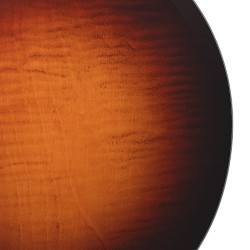 Gold Tone OB-Standard Bluegrass Banjo Earl Scruggs Model Replica