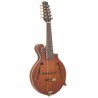 GoldTine F-10-String F-Style Mandolin