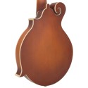 GoldTine F-10-String F-Style Mandolin