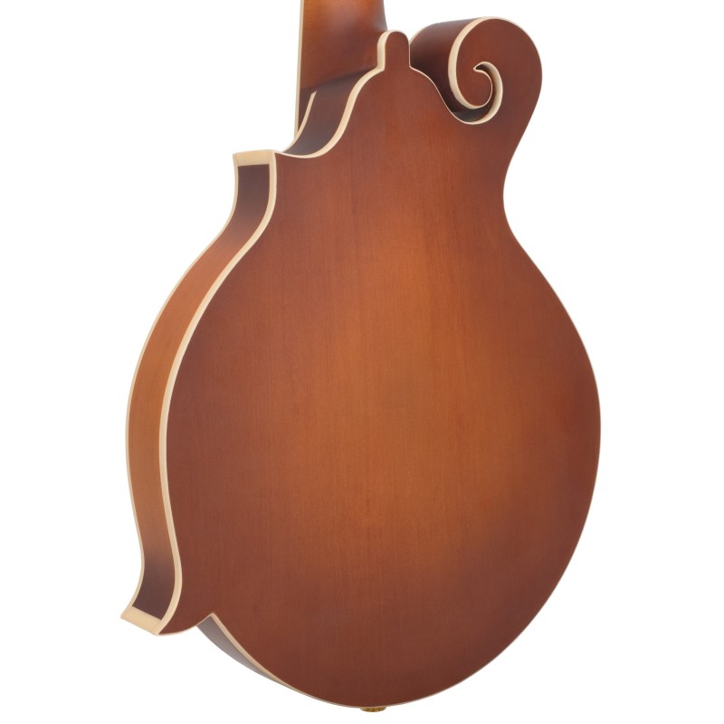 GoldTine F-10-String F-Style Mandolin