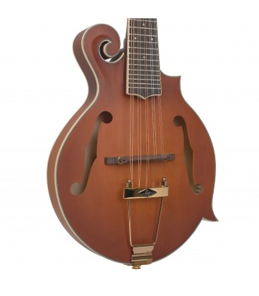 GoldTine F-10-String F-Style Mandolin