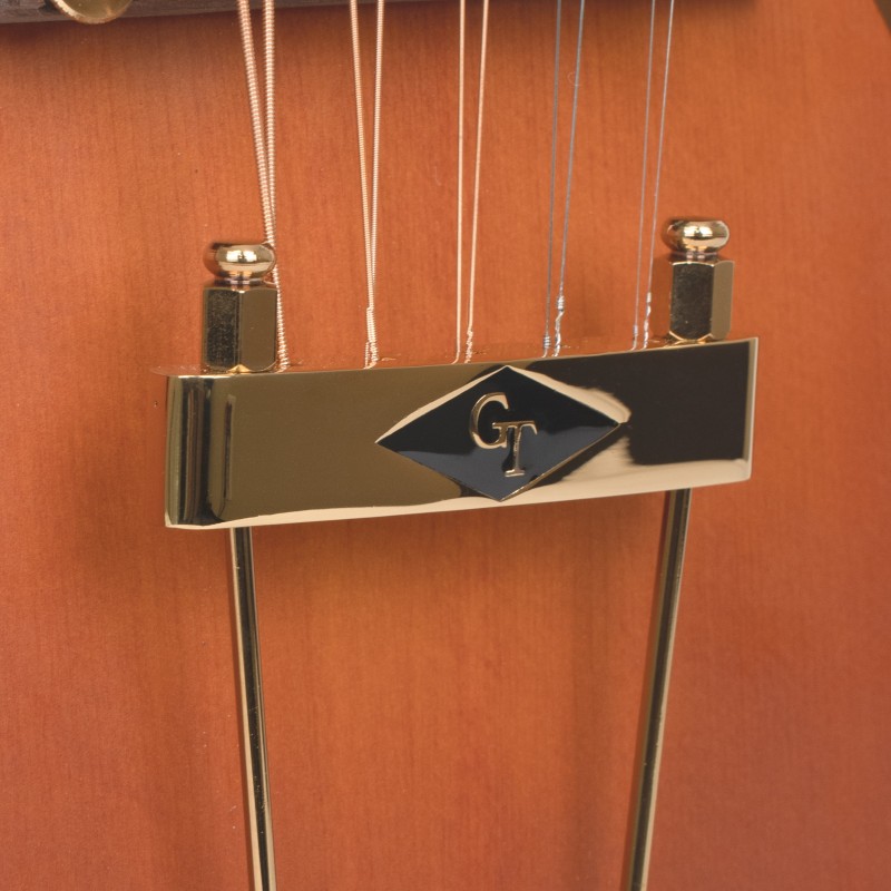 GoldTine F-10-String F-Style Mandolin