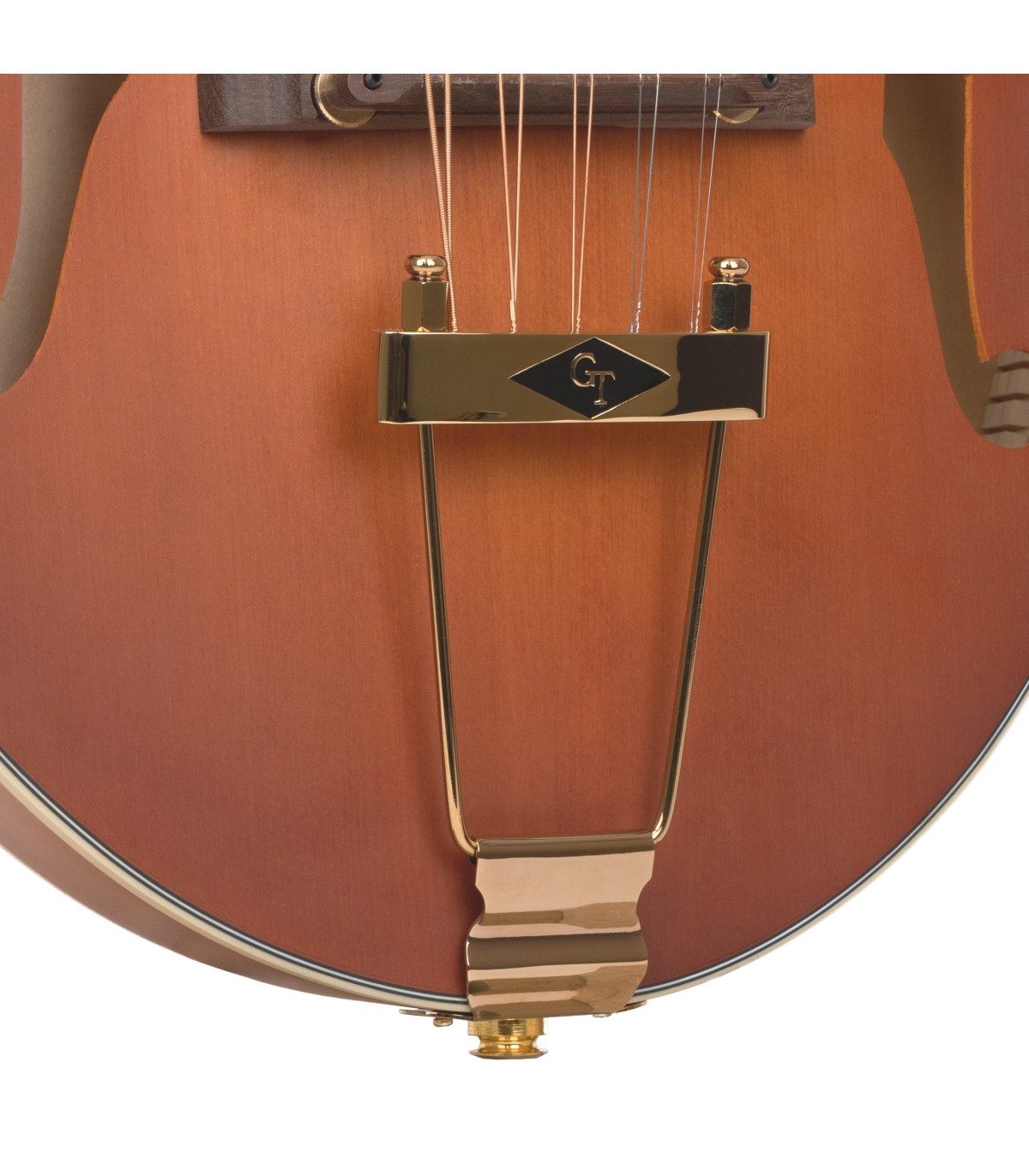 Gold Tone F-10 | F Style 10-String Mandolin with Low C String