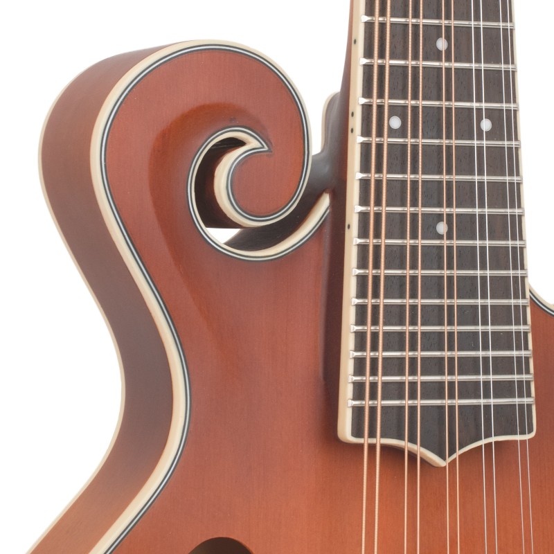 GoldTine F-10-String F-Style Mandolin