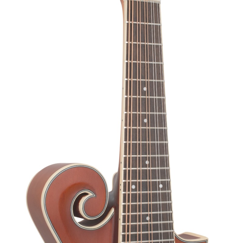 GoldTine F-10-String F-Style Mandolin