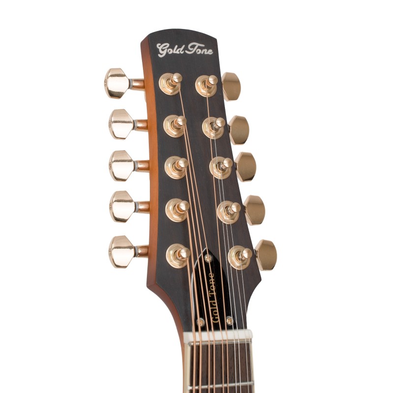 GoldTine F-10-String F-Style Mandolin