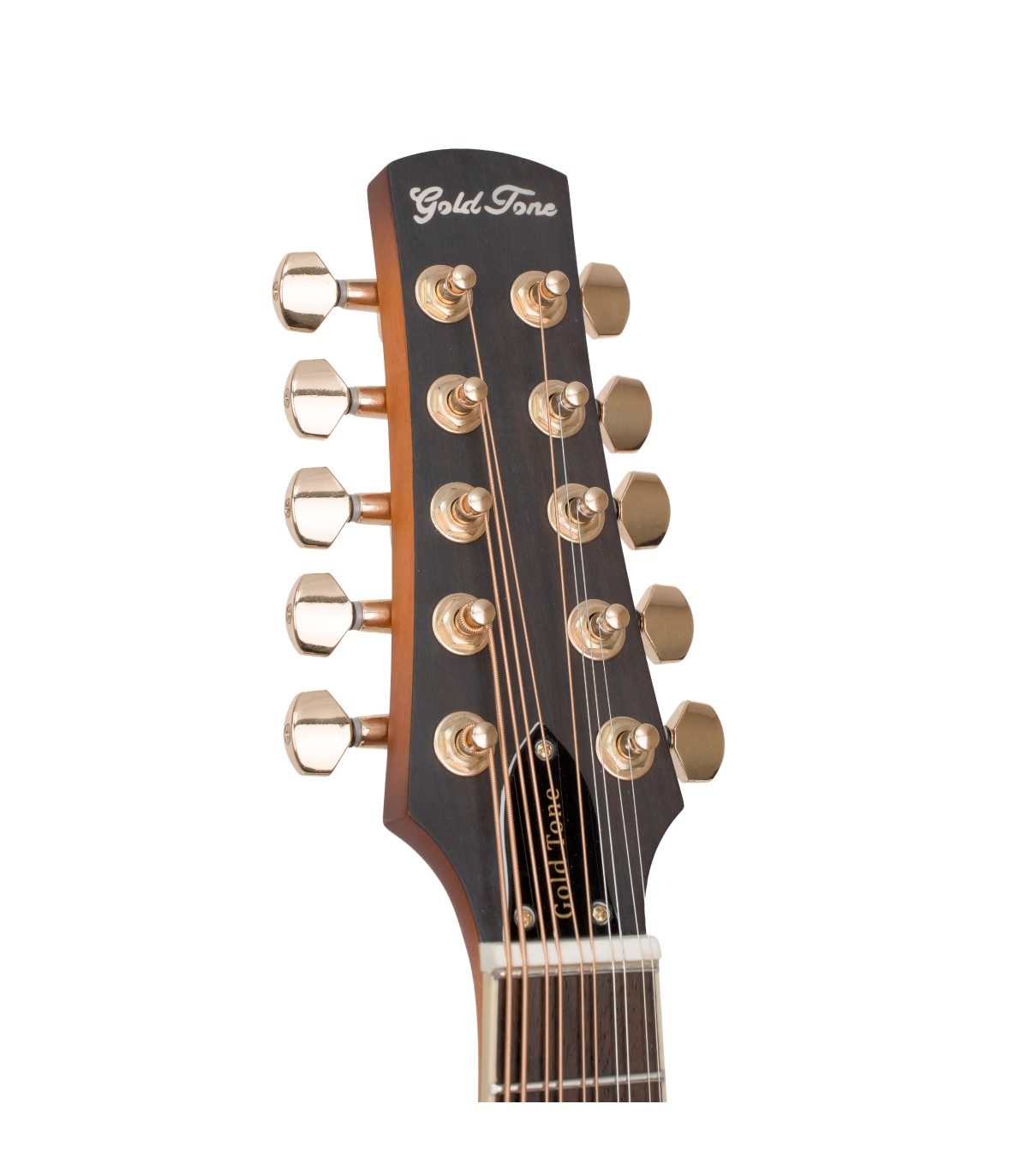 Gold Tone F-10 | F Style 10-String Mandolin with Low C String