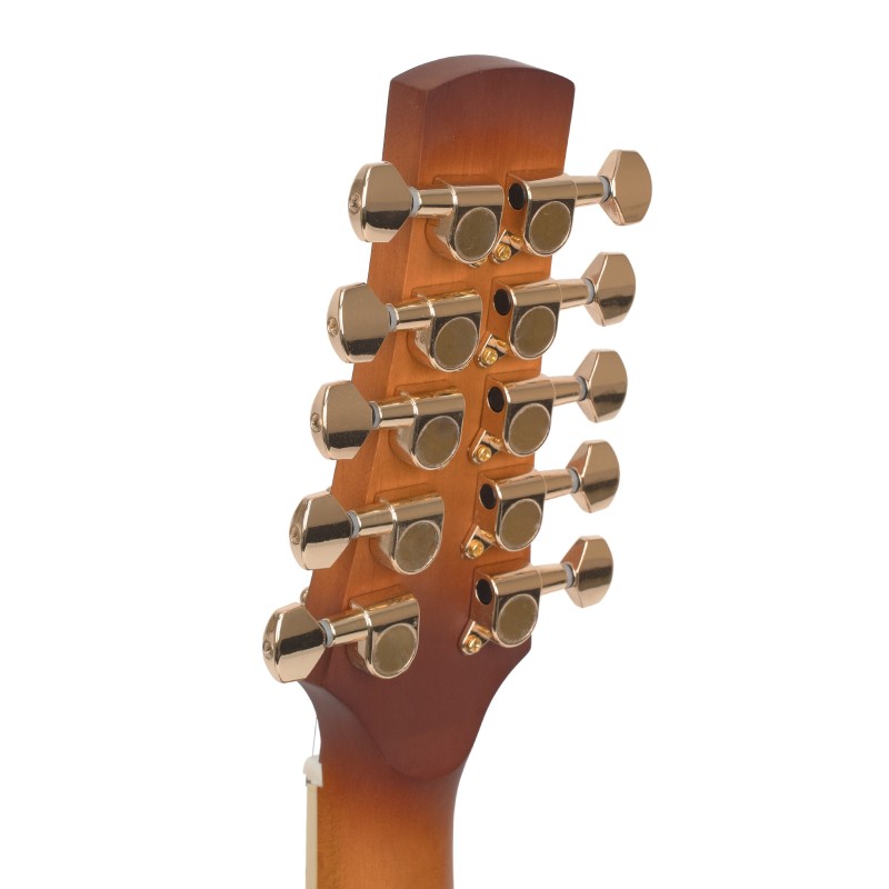 GoldTine F-10-String F-Style Mandolin