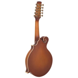 GoldTine F-10-String F-Style Mandolin