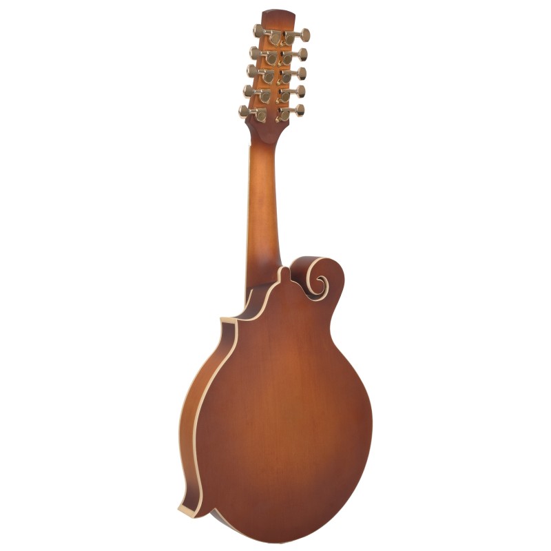 GoldTine F-10-String F-Style Mandolin