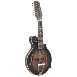 F-12--string F-style Mando-Guitar with Pickup and Case