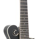 F-12--string F-style Mando-Guitar with Pickup and Case