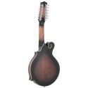 F-12--string F-style Mando-Guitar with Pickup and Case