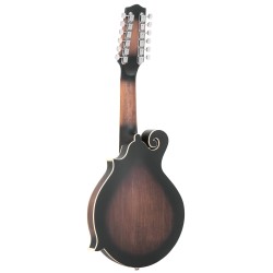 F-12--string F-style Mando-Guitar with Pickup and Case