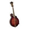 Mandolin - Saga - Kentucky Artist F- Model - KM 855