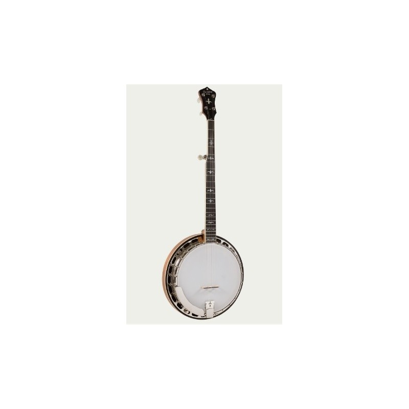 Recording King RK-R35 Banjo with Free Hardshell Case